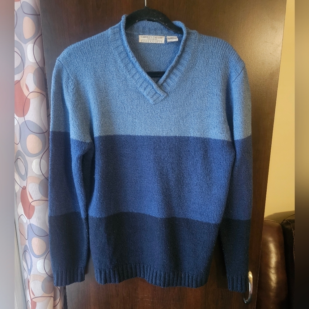 Carolyn Taylor V-Neck Blue Colorblock Sweater Size Medium
